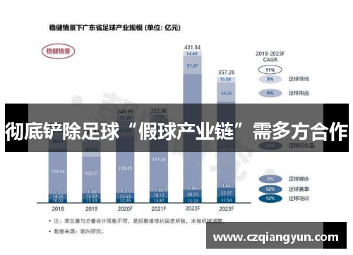 彻底铲除足球“假球产业链”需多方合作